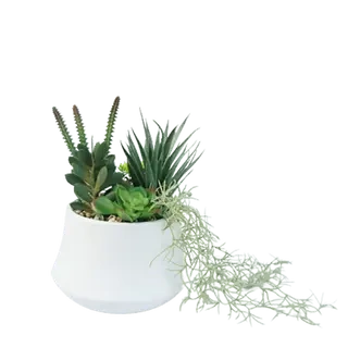 Man-made Best Selling Succulents, 25 CM