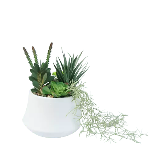 Man-made Best Selling Succulents, 25 CM
