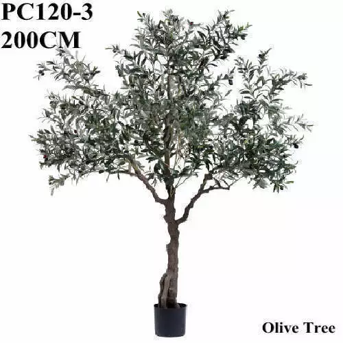 Artificial Olive Tree 200CM, Potted
