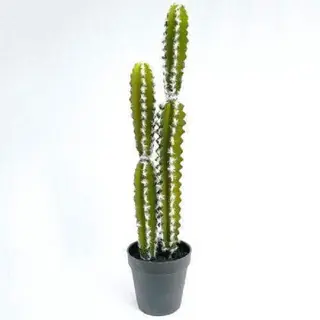 Artificial Succulents Decor