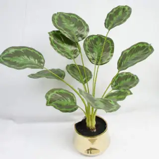 Artificial 12 Leaves Maranta Arundinacea, 58 CM