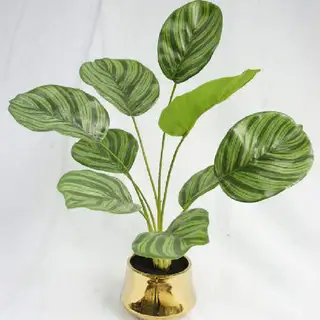 Artificial 9 Leaves Bermuda Arrowroot, 48 CM