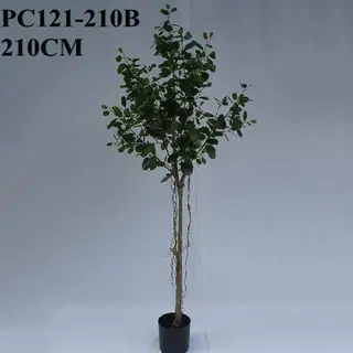 Artificial Ficus-puu, 210 CM