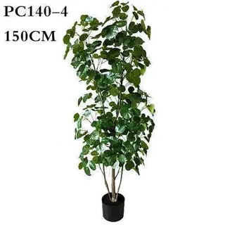Artificial Polyscias Balfouriana Bailey, Dinner Plate Aralia, 240CM, 150CM