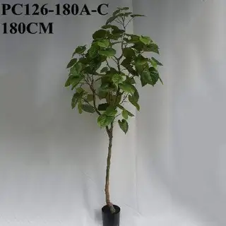 Artificial Fig Trees Ficus Umbellata, 180 CM