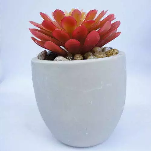 Home Decor Plastic Mini Succulent Table Decor Plant, 14 CM