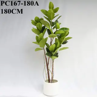 Artificial Green Tree 2 Boles 3 Twigs Rubber Plant, 180 CM