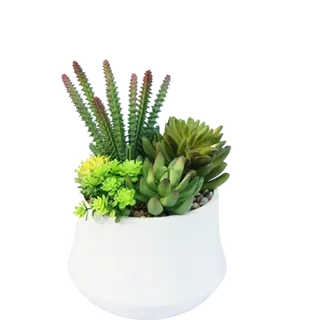 Artificial Best Selling Succulents, 22 CM