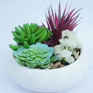 Artificial Succulent Plants Fake Faux Suculentas Pot