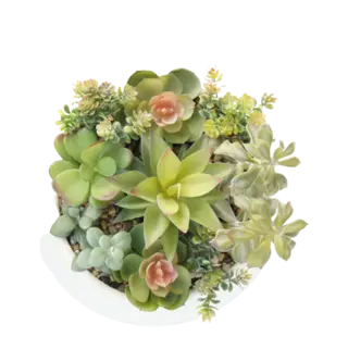 Artificial Small Plant Succulents, 22 CM