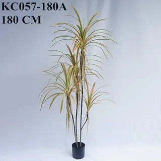 Artificial Dracaena Angustifolia Bonsai, 120 CM - 240 CM
