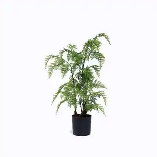 Simulated Tropical Fern Tree Bonsai, Plastic Base, 60CM
