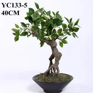 Artificial Table Top Cedrela Bonsai, 40 CM