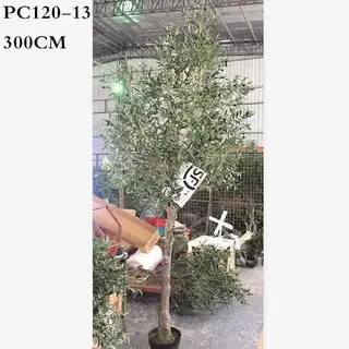 Artificial Olive Tree 150CM, 300CM