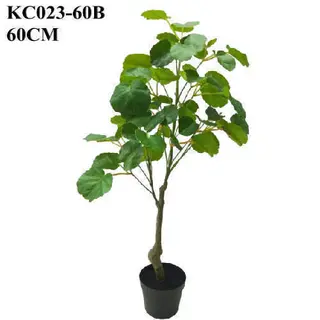 Artificial Polyscias Balfouriana Mini Bonsai, 60 CM