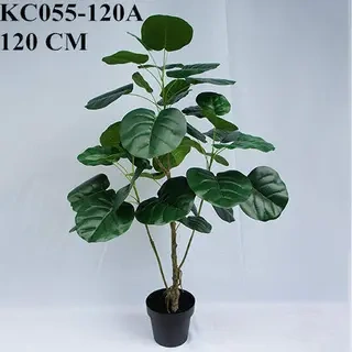 Artificial Polyscia Balfouriana Bonsai, 90 CM, 120 CM