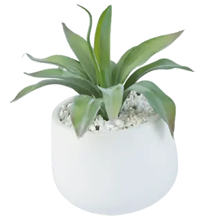 Artificial Best Selling Succulents, 25 CM