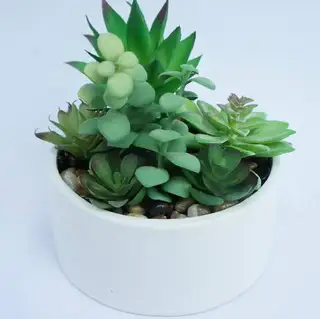 Artificial Succulent Faux Plant Succulent Mix in Planter
