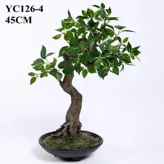 Artificial Small Plant Cedrela Bonsai, 45 CM