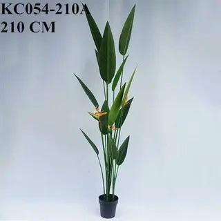Artificial Strelitzia Bonsai With Sharp Leaves, 120 CM - 240 CM