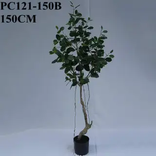 Artificial Ficus Ficusbaum, 150 CM