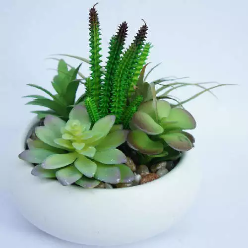 Artificial Succulents Plants Potted Fake Succulent Plants with White Pot