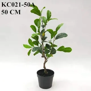 Artificial Sweet Olive Bonsai Potted 40 CM - 90 CM