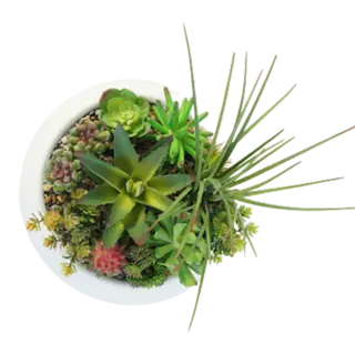 Artificial Small Bonsai for Succulents, 25 CM