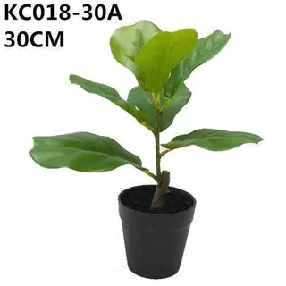 Artificial New Fiddle-leaf Fig Bonsai High Quality 30~60 CM
