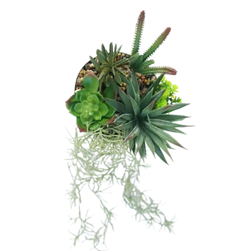 Man-made Best Selling Succulents, 25 CM