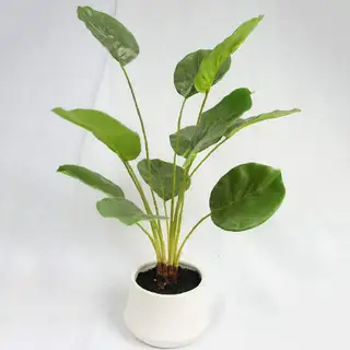 Artificial Maranta 12 Leaves, 58 CM