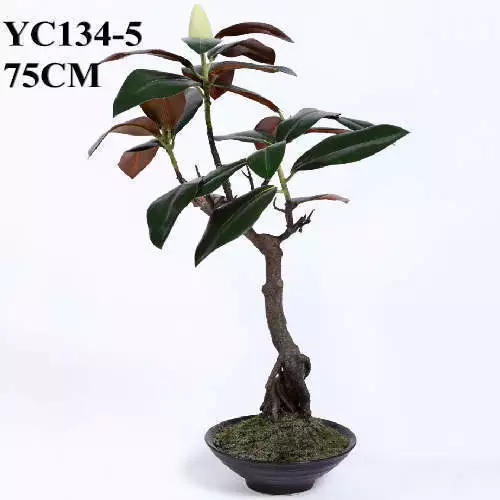 Artificial Magnolia Bonsai Flowering Plant, 75 CM