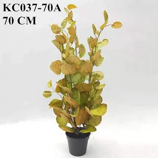 Artificial Yellow Polyscias Balfouriana Bonsai, 30 CM, 50 CM, 70 CM
