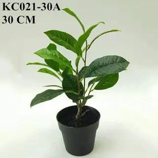 Artificial Sweet Osmanthus Bonsai, 30 CM - 90 CM