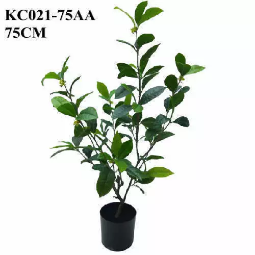 Faux Plants Tree Sweet Olive Bonsai, 75 CM