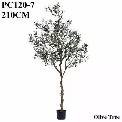 Plastic Olive Tree
