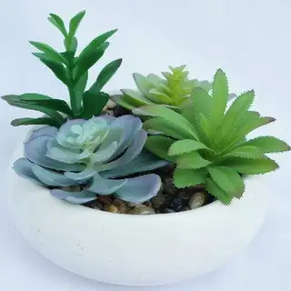 Artificial Realistic Textured Succulents Plants