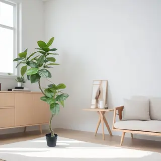 Wholesale Ficus Altissima Artificial Tree Bent Trunk, 180CM