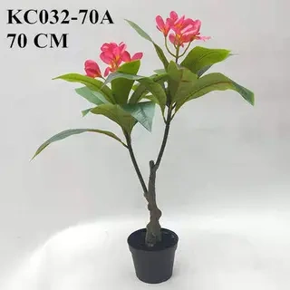 Artificial Frangipani Bonsai, 50 CM - 90 CM
