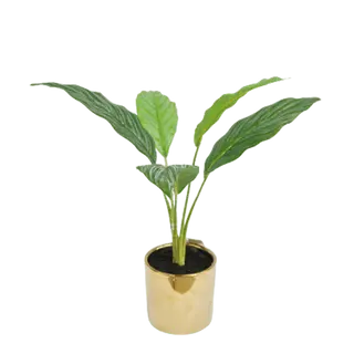 Artificial Best Selling Tabletop Plant, 42 CM