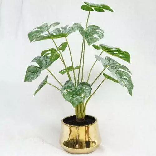Artificial Swiss Cheese Plant