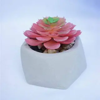 Manmade Small Succulent Ceramic Pot, 9 CM
