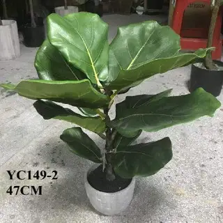 Artificial Mini Fiddle-leaf Fig Bonsai, 47 CM