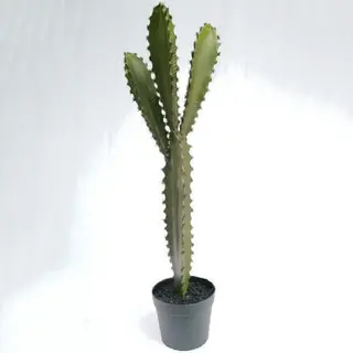 Artificial Desert Succulents