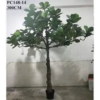 Artificial Fiddle Leaf Fig, 120CM, 180CM，210CM，300CM