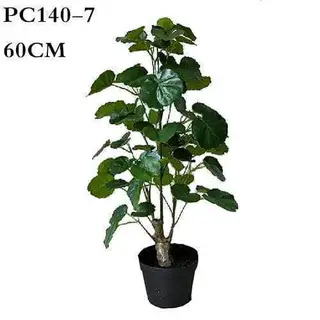 Artificial Polyscias Balfouriana Bailey, Aralia Balfour, 60CM