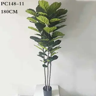 Artificial Fiddle Leaf Fig, 120CM, 180CM，210CM，300CM