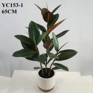 Artificial Magnolia Mini Bonsai, 65 CM