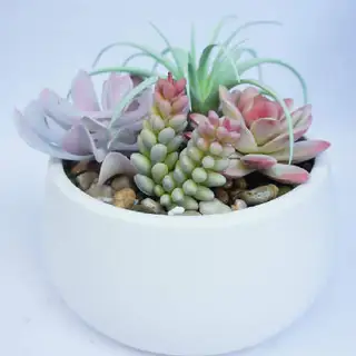 Mixed Succulent Faux Plant with Decorative Planter