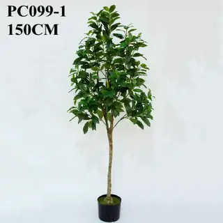 Artificial Weeping Fig, 150 CM